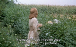 roserosette: Faustine and the Beautiful Summer, 1972, Nina Companeez