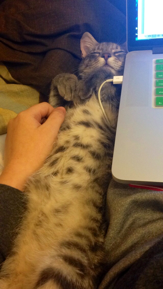 awwww-cute:  My little homework helper :)