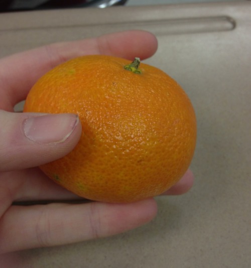 today in English a boy I don&rsquo;t talk to much just gave me a clementine! ( ´ ▽ ` )ﾉ☆ He ju