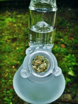 skunkparadise:  collegeofcanna:  Sunday morning dank.    NaTuRe WiLL WiN