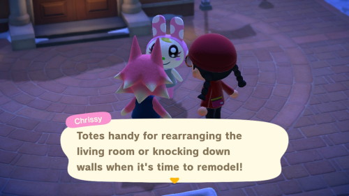 Weird life advice from my villagers - get a bug as a room mate. Gregor Samsa are you looking for a r