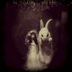 iamubermensch:  Original picture taken from Dawn Yang. Re-edited it to further intensify the eerie effect. ♥ #eerie #dark #bride #bunny #edited 