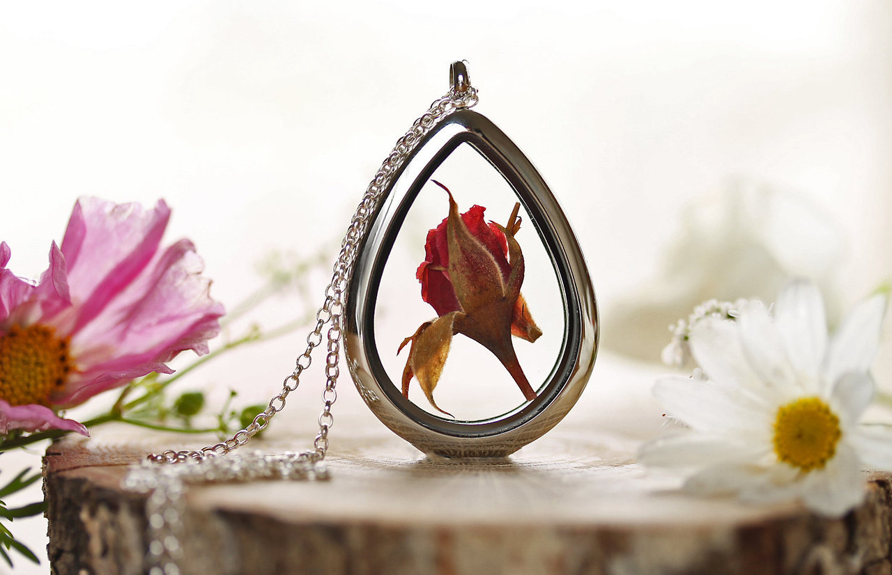 wordsnquotes:  culturenlifestyle: Romantic Crystal &amp; Terrarium  Encapsulated