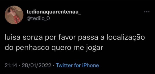 seu-bobo-da-corte:
