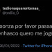 seu-bobo-da-corte: