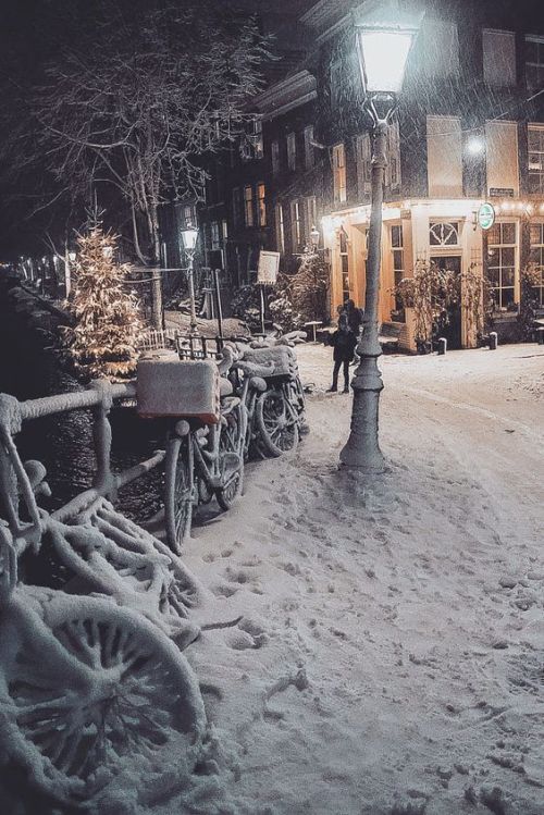 alisaineurope:  Snowy moment (Amsterdam, Netherlands)by Gabriel Guita  Submitted by cunivers