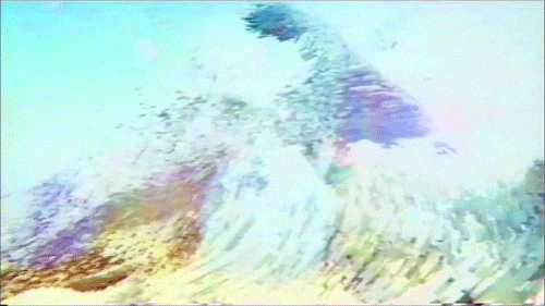 enter-galactic-love:  TRIP HARD