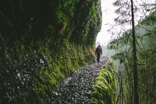 spudthesoundguy:  Hike Your Own Hike.  Eagle Creek, Columbia River Gorge, Oregon featuring @briansto