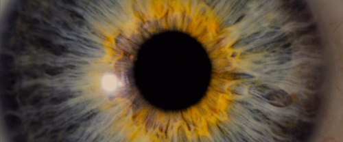 I Origins (2014) dir. Mike Cahill