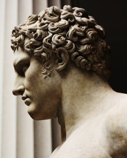 hadrian6:  Head of Hercules.  Metropolitan Museum of Art. NYC. http://hadrian6.tumblr.com 