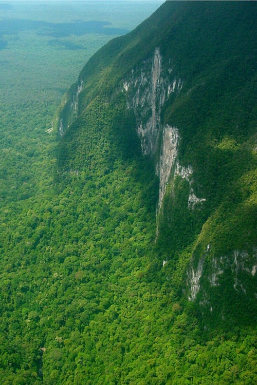 sublim-ature:  Gunung Mulu NP, MalaysiaSource