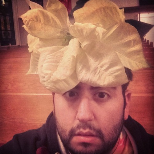 southerngamerguy:  I’m a Christmas pikmin! #poinsettiafierceness