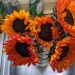 XXX I had a bad week so I bought some sunflowers photo