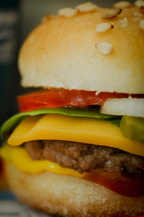 terra-butt:  sheebiejeebies:  missl0nelyhearts:  all photos copyright Full Tilt Photography. In 2006 we made this little burger meal for a competition on Craftster.org. It got quite a bit of online traffic at the time. Couldn’t find the links, so I