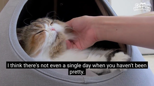 Me W My Cat