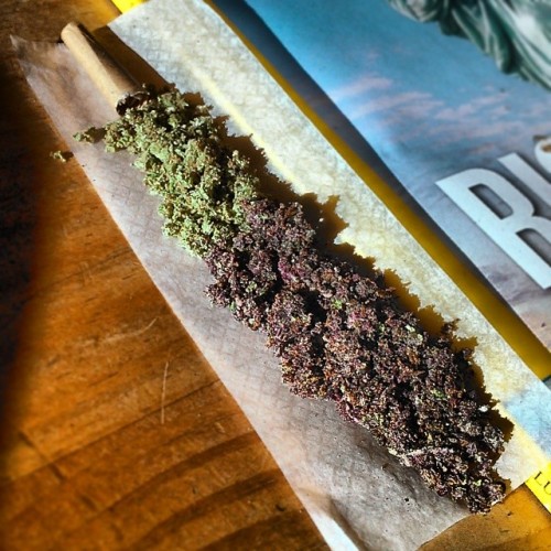420Venezuela