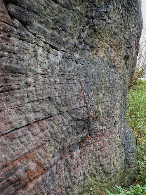 thesilicontribesman:Roman Shrine to Minerva, Handbridge, Chester, 17.11.19.