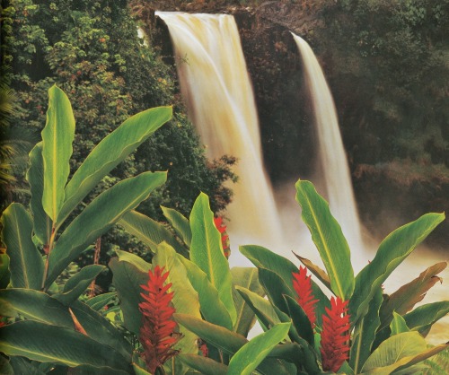 solarbar:  David Muench - Ginger and Rainbow Falls on the Wailuku River, Hilo, Hawaii