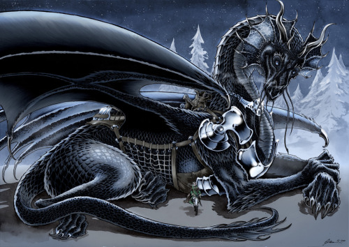 saulone:Throwback Thursday - Some illustrations I did a couple of years ago now: Dragons and their c
