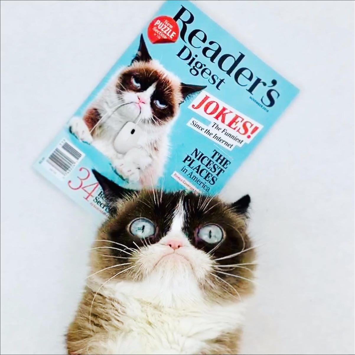 Grumpy Cat is on the November cover of @readersdigest!
Get your copy today! Or don’t.
