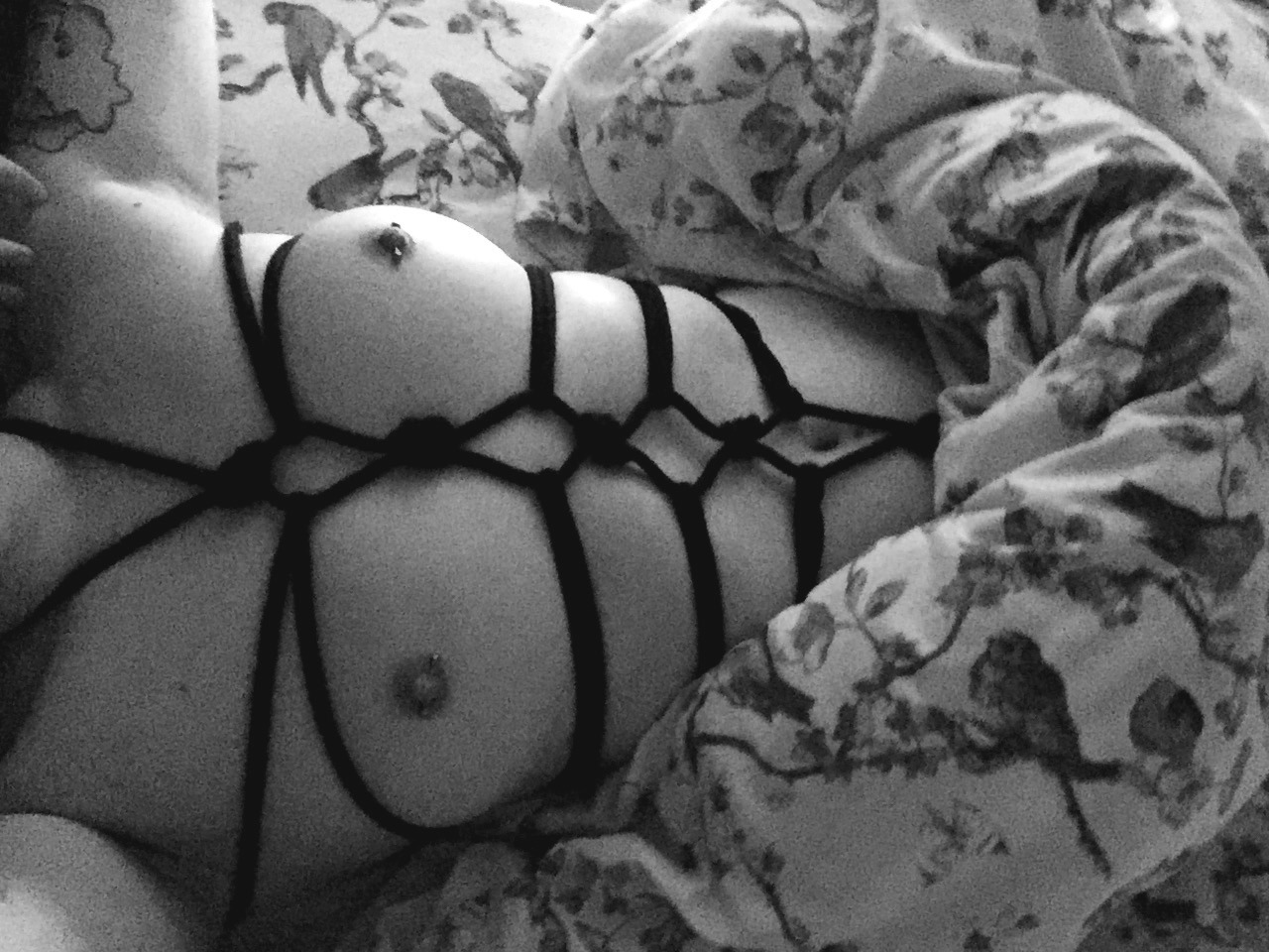 vieillelune:  i may have holiday blues, but at least i’m reunited with my shibari