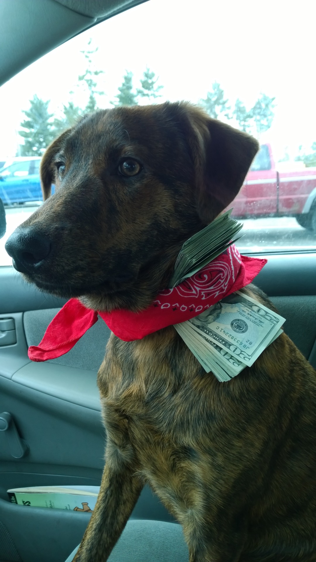 versacefriedchicken:  Only bitch that’ll ever get my money 