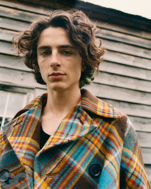 Timothee Chalamet