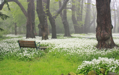 storybook-magic:Misty Guisborough (by Fotografia Morelli)