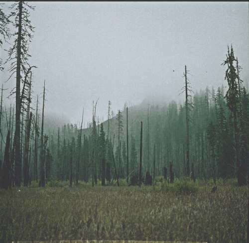 burtoo: Some medium format film I shot during the month of September. 