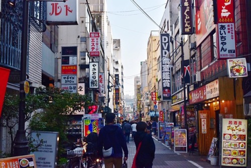 tokyogems:strolling around ueno.上野でぶらぶら。