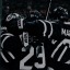 willysnylander