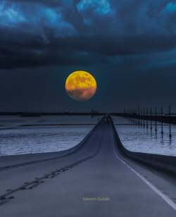 moonipulations:  Moon Rising at Keywest - Photography by Naveen Gunda http://bit.ly/1s9ziGy  #keywest  #fullmoon  #…