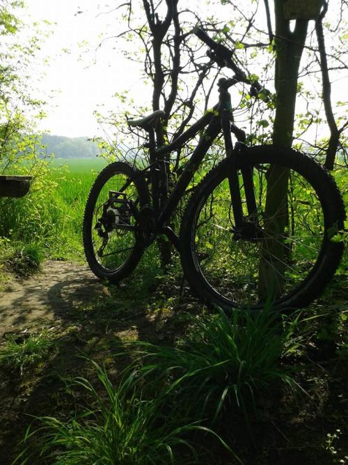 two-wheels-one-love: Sun, Nature and my Bike