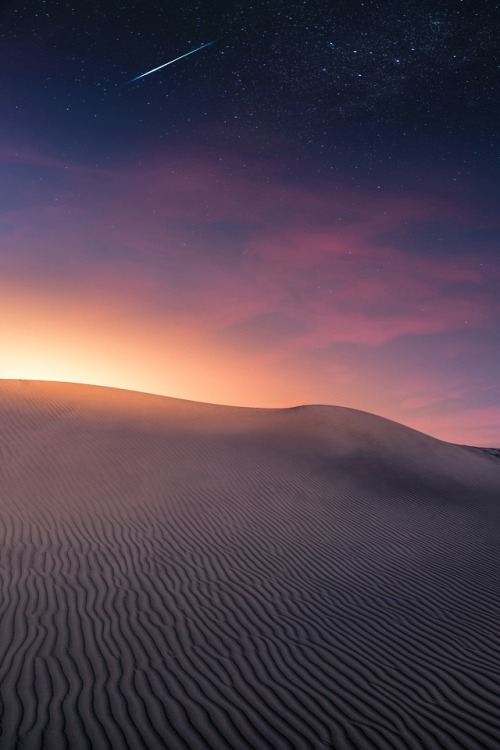 throughwinterfields: Massimiliano Morosinotto