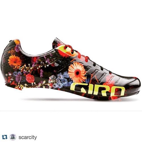 pingonow: art on moving parts @girocycling #bicycles #colors
