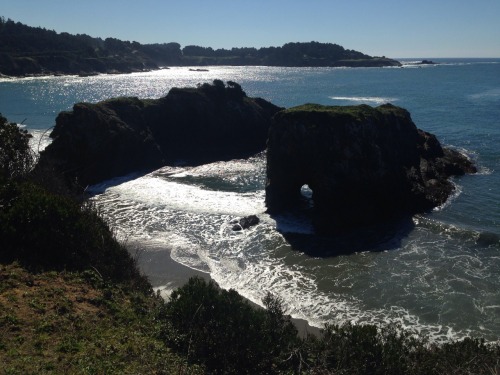 Here’s a mix of pictures from Mendocino, CA and Glass Beach in Fort Bragg, CA. The final picture is from Navarro, CA, where we stopped for dinner and wine tasting. Navarro is known for it’s wineries so we figured, why not try some local wine