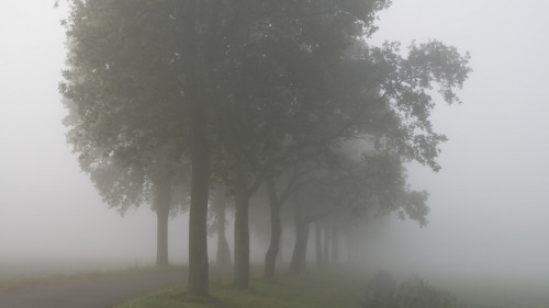 Mistige zaterdag by Tina Ruiter on Flickr.