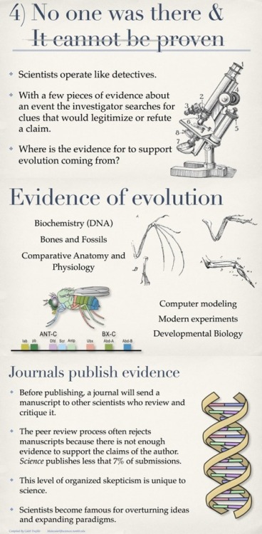 scienceisrad:  molecularlifesciences:  Top 5 misconceptions about evolution: A guide to demystify the foundation of modern biology. Version 1.0 Here is an infographic to help inform citizens.  From my experience most people who misunderstand evolution