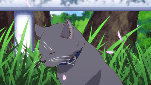 Yukimura Megumi Tumblr Posts Tumbral Com