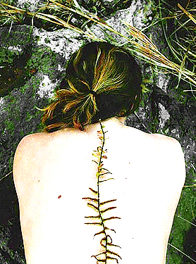 Green Witch