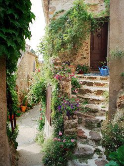 trim-the-flowers-honey:  Proven, France | Dennis Barloga 