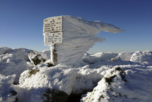 Hard rime ice forms when the water droplets in fog freeze to the outer surfaces of object, usually w