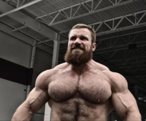 roughmuscle:  sannong:  Seth Feroce - He’s back! After disappearing from BBing for 3 years to fix his personal life and figure things out, he’s back! God he is hot, and the beard! Lumberjack on steroids. YES! On a serious, not muscle obsession note,
