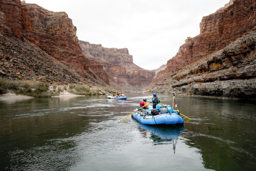 DEEP WINTER IN THE GRAND CANYONBy Jake MyhreI awoke to the first drops of rain bouncing off my eyeli