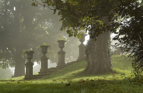 allthingseurope: rosesinaglass: Steps in the mist by jonathan charles photo on Flickr. Burnett, Engl