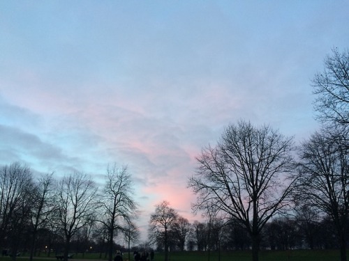 Hyde park is my aesthetic