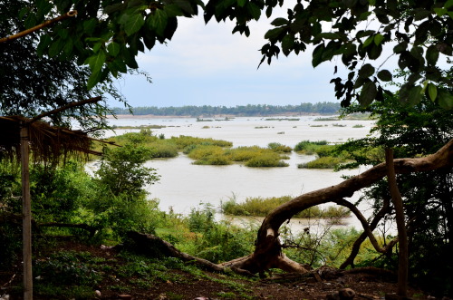 Photographic highlights of Kratie, Cambodia Yes, I know the Irrawaddy Dolphin is missing. Blame Tumb