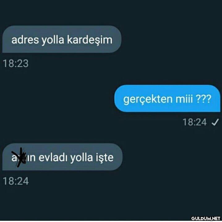 Kaldı mı böyle krallar???...