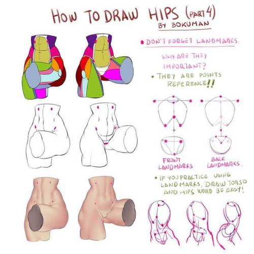 bokuman:  Last part. The torso would be next. :D  #tutorial #art #drawing  Rather surprised that these tutorials don’t have more than 200 notes, so let’s change that. This is good information to know for artists.