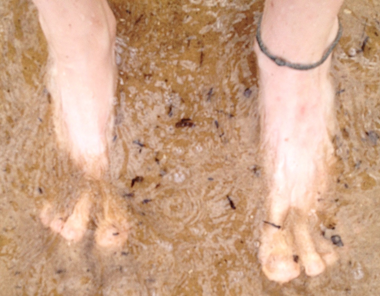 hellohippietoes:  We took the dog swimming in Lake Huron today.